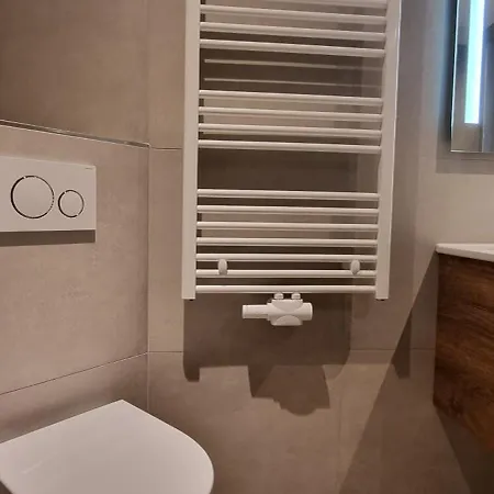 Wellnesshuisje Boerenzwaluw Holiday home Emst